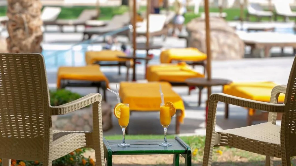 الفندق إكسبيرينس سى بريز ريزورت - شرم الشيخ